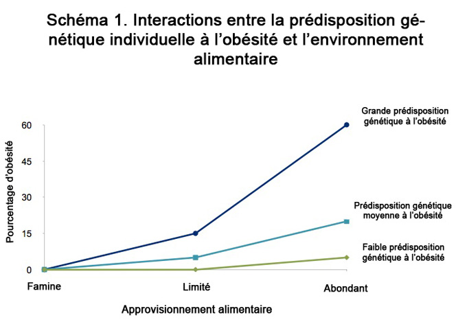 Influences genetiques sur le comportement alimentaire des enfant