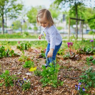 CHANGEMENTS CLIMATIQUES ET PETITE ENFANCE : Les enfants ont droit à un environnement sain